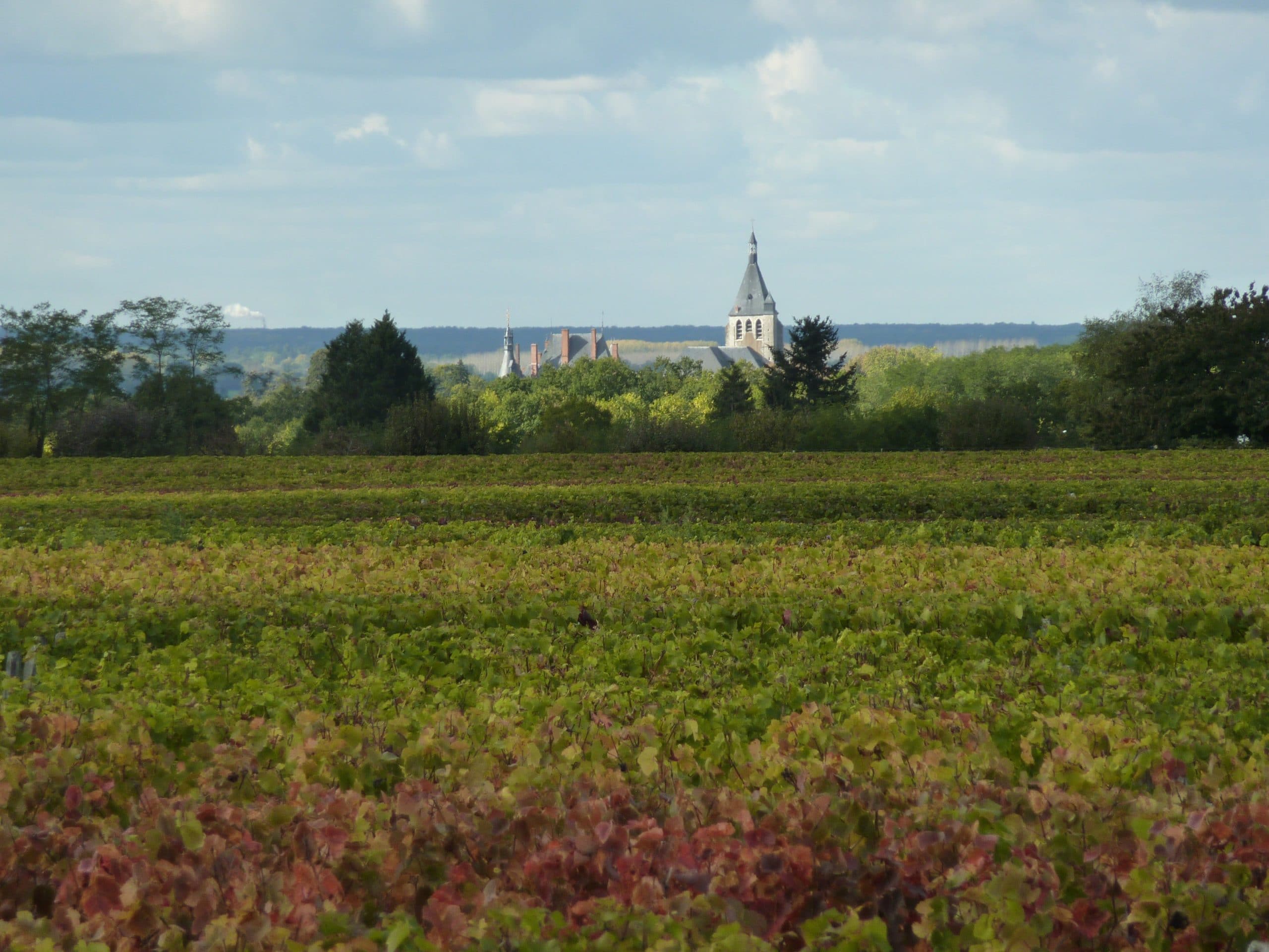 poupat-coteaux-du-giennois-briare