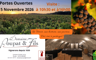 Portes ouvertes automne 2026